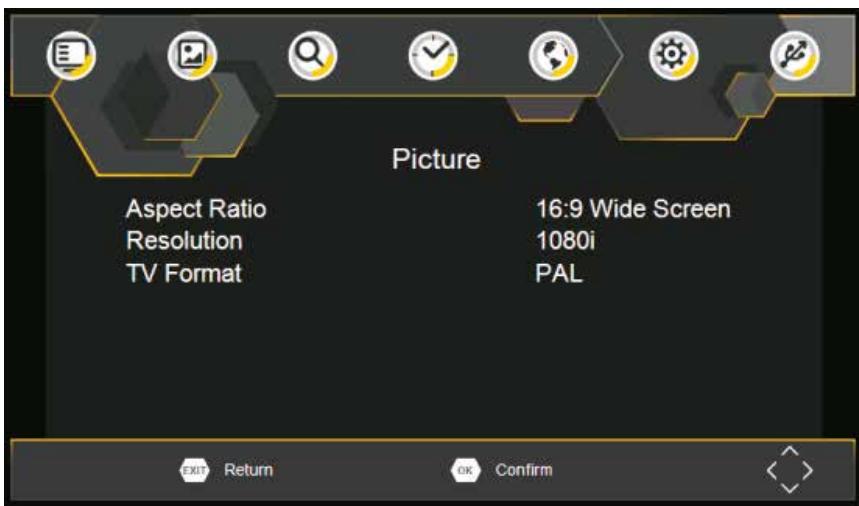 CALIBER PDVBT 101 - Video Setting - 1