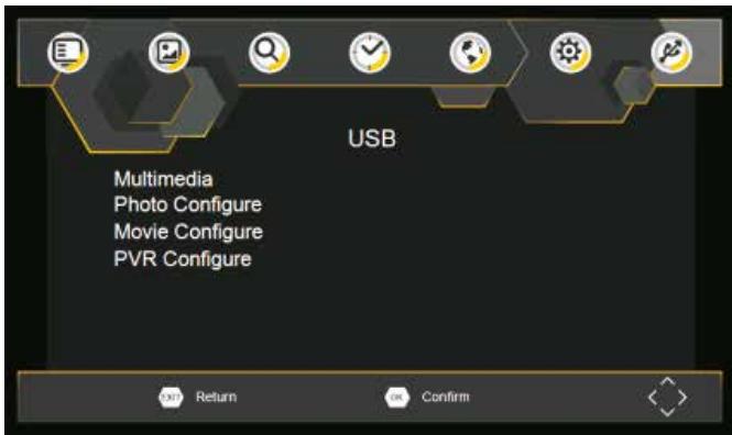 CALIBER PDVBT 101 - USB - 1