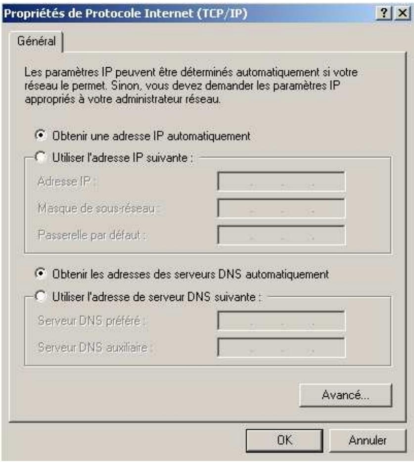 COMET LABS WN598 - Adresse IP dynamique - 2