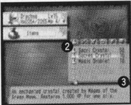 SEGA SKIES OF ARCADIA LEGENDS - Articles - 1