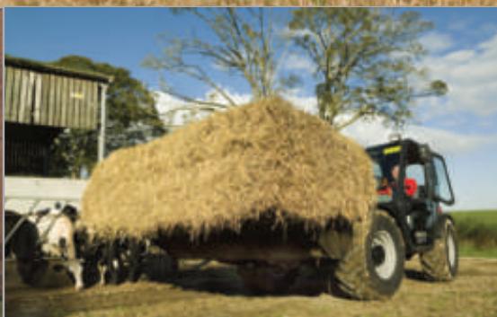 MASSEY FERGUSON 8900 XTRA - CH 100 | MF8900 Xtra - 3