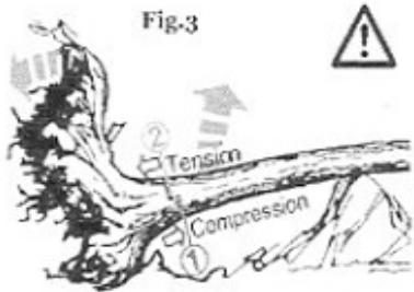 KORMAN GARDEN 500342 P - Bois sous tension - 3