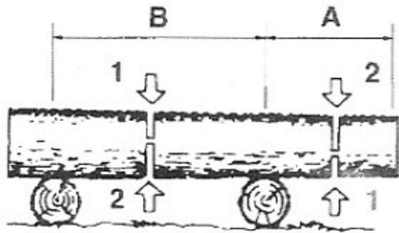 KORMAN GARDEN 500342 P - Tronc en surélevation - 1