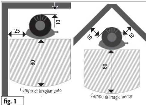 25 10 80 Campo di irragiamento 10 10 80 Campo di irragiamento fig. 1