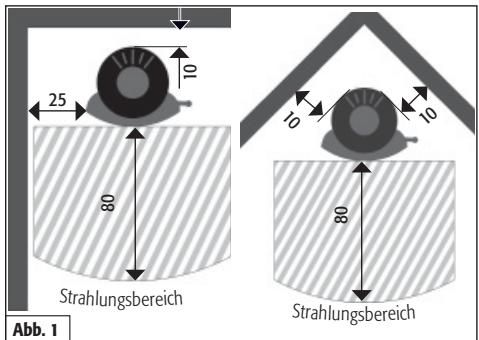 25 10 80 Strahlungsbereich 10 10 80 Strahlungsbereich Abb. 1