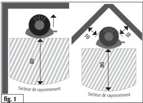 80 Secteur de rayonnement 10 10 80 Secteur de rayonnement fig. 1