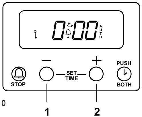 NESTOR MARTIN ZCV6650X - Minuteur électronique avec fonctionnement automatique (ZCV 6650) - 1