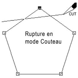 PAINT SHOP PRO PAINT SHOP PRO 9 - Rupture de contours - 1