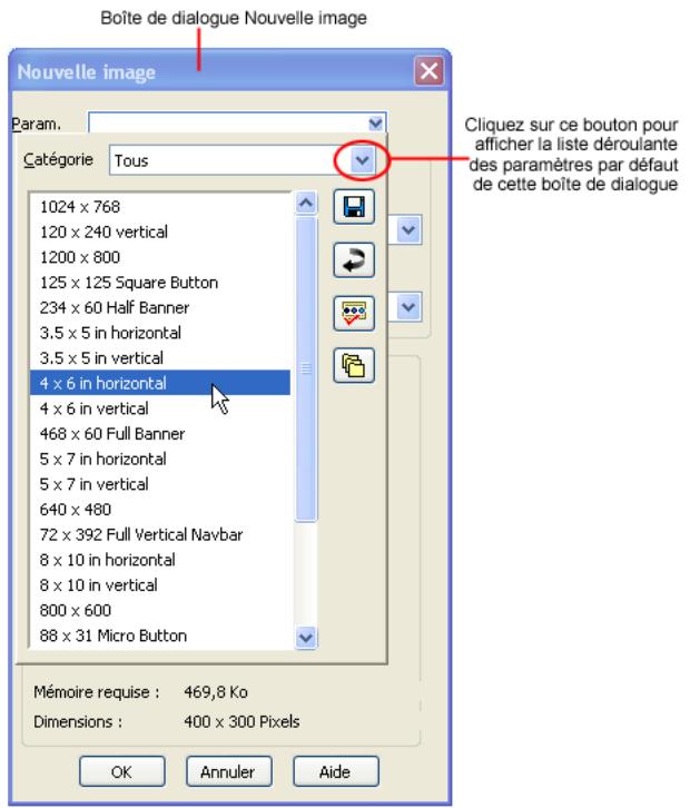 PAINT SHOP PRO PAINT SHOP PRO 9 - Exemples de paramètres par défaut - 2