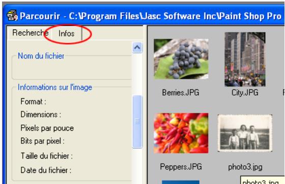 PAINT SHOP PRO PAINT SHOP PRO 9 - Utilisation de l'ongletInfos du Visualiseur - 1