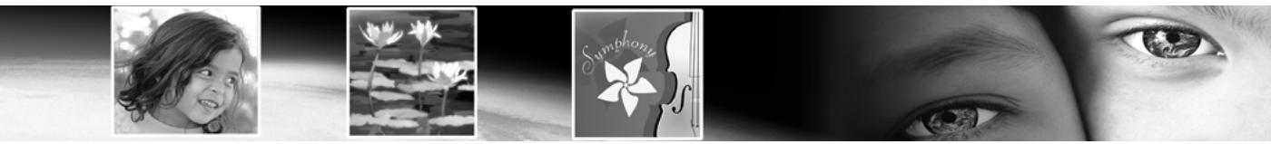 PAINT SHOP PRO PAINT SHOP PRO 9 - Pour modifier les paramètres de transformation et les appliquer : - 1