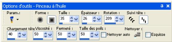 PAINT SHOP PRO PAINT SHOP PRO 9 - Définition des options d'outils - 1