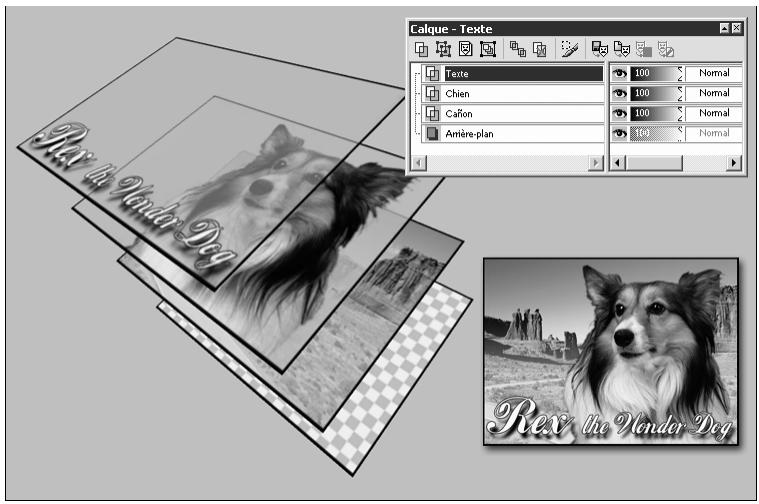 PAINT SHOP PRO PAINT SHOP PRO 9 - Utilisation des calques - 1