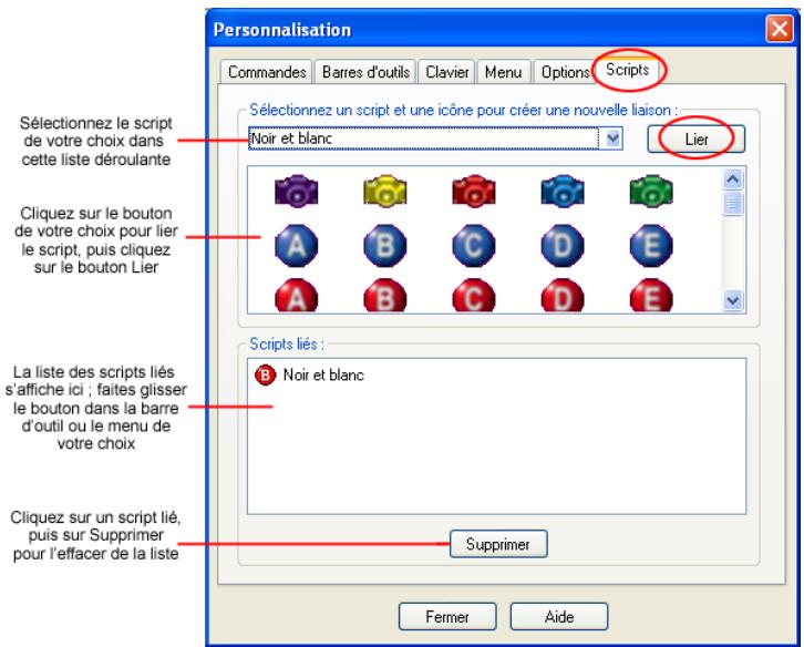 PAINT SHOP PRO PAINT SHOP PRO 9 - Attribution d'un script à une icône - 1