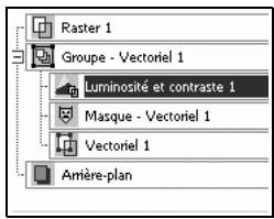 PAINT SHOP PRO PAINT SHOP PRO 9 - Affichage du contenu des calques - 1