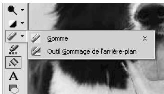 PAINT SHOP PRO PAINT SHOP PRO 9 - Pour redimensionner une palette : - 1