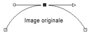 PAINT SHOP PRO PAINT SHOP PRO 9 - Modification de segments - 1