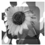 PAINT SHOP PRO PAINT SHOP PRO 9 - Pour inverser un masque : - 6
