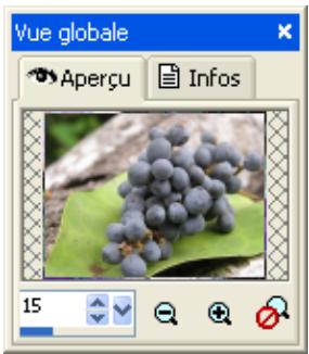 PAINT SHOP PRO PAINT SHOP PRO 9 - Définition des options d'outils - 2