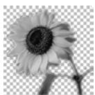 PAINT SHOP PRO PAINT SHOP PRO 9 - Pour creer un masque à partir d'une image : - 2