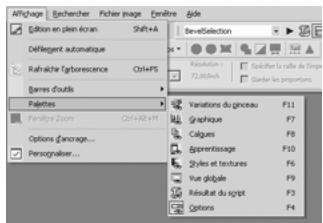 PAINT SHOP PRO PAINT SHOP PRO 9 - Utilisation des palettes - 1