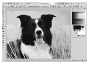 PAINT SHOP PRO PAINT SHOP PRO 9 - Pour agrandir une zone particuliere : - 2