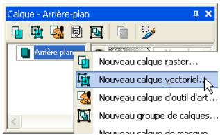 PAINT SHOP PRO PAINT SHOP PRO 9 - Utilisation de la palette Vue globale - 1
