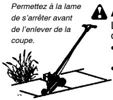 WEED EATER 545117552 - Sécurité de l'outil - 6