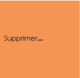 NEO SHYN - Suppression de fichiers (sous-menu « Stop ») - 5