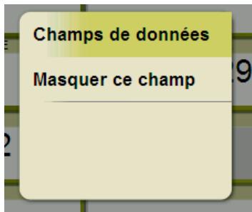 IGN E VADEO X - Sélection des champs de données - 2