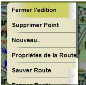 IGN E VADEO X - Creer une route sur la carte - 3
