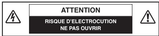 LOGICOM-SANYO PLC-XW60 - Remarques: - 1