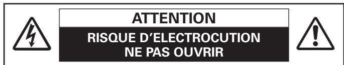 LOGICOM-SANYO PLV-Z2000 - MARQUES DE COMMERCE - 1