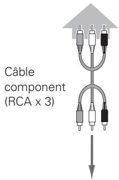 LOGICOM-SANYO PLV-Z700 - Component - 2