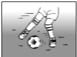 LOGICOM-SANYO XACTI VPC-S6 - - Sujets sans lignes verticales - 3