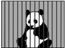 LOGICOM-SANYO XACTI VPC-S6 - - Sujets sans lignes verticales - 2