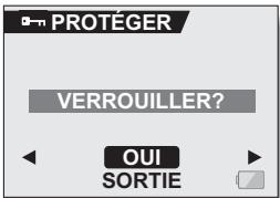 LOGICOM-SANYO XACTI VPC-S6 - PROTECTION DES IMAGES - 1