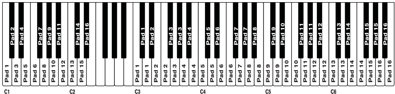 PROPELLERHEAD REASON 5 - Vérifier lessons dans un patch de kit - 3