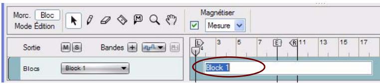 PROPELLERHEAD REASON 5 - Attribution d'un nouveau nom aux blocs - 1