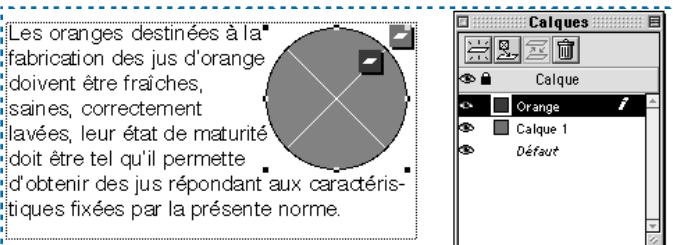 QUARK XPRESS 5 - AFFICHAGE DE L'HABILLAGE D'UN CALQUE - 2