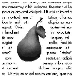 QUARK XPRESS 5 - HABILLAGE DE BLOCSD'IMAGE PAR LE TEXTE - 6