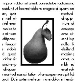 QUARK XPRESS 5 - HABILLAGE DE BLOCSD'IMAGE PAR LE TEXTE - 3