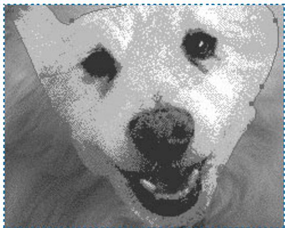 QUARK XPRESS 5 - CREATION D'UNE IMAGE CLIQUABLE W - 4