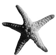 QUARK XPRESS 5 - MANIPULATION DES CHEMINS DE DETOURS - 1