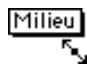 QUARK XPRESS 5 - MODES DE DESCRIPTION DES LIGNES DROITES - 3