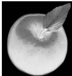 QUARK XPRESS 5 - APPLICATION DE CONTRASTE AUX IMAGES - 4