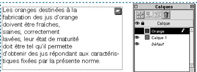 QUARK XPRESS 5 - AFFICHAGE DE L'HABILLAGE D'UN CALQUE - 4