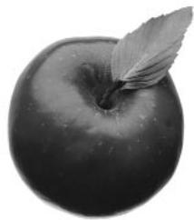 QUARK XPRESS 5 - APPLICATION DE CONTRASTE AUX IMAGES - 1