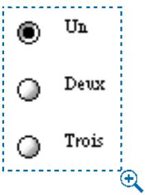 QUARK XPRESS 5 - CREATION D'UN GROUPE DE CONTROLES DE TYPE BOUTON RADIO W - 1