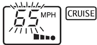 INFINITI M45 - Aucun vehicule n'est détecté devant : - 1